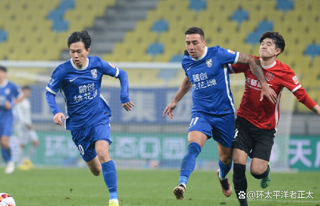 浙江队迎德甲关键赛，清晨战术微调，气氛紧张，资深球员宣示担当的简单介绍