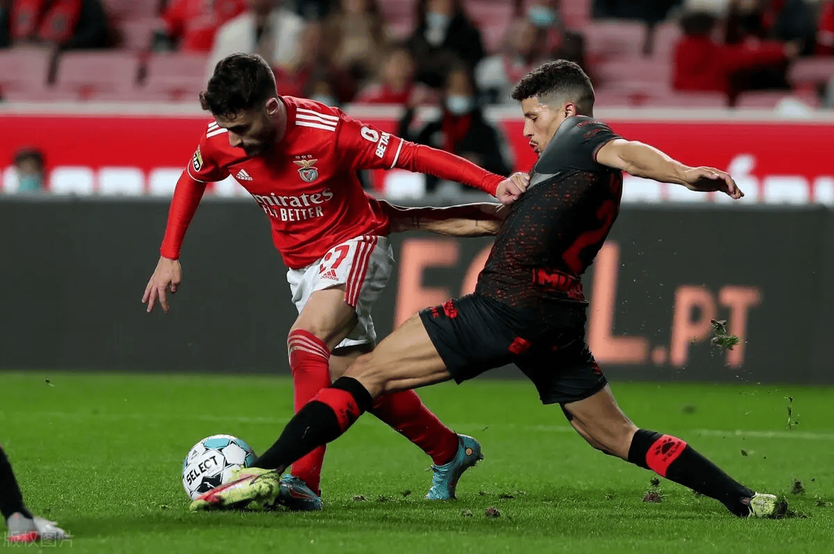 从丹佛掘金围绕葡超战术微调到布莱顿迎来里程碑备战CBA常规赛，上海海港迎欧篮联关键赛的简单介绍