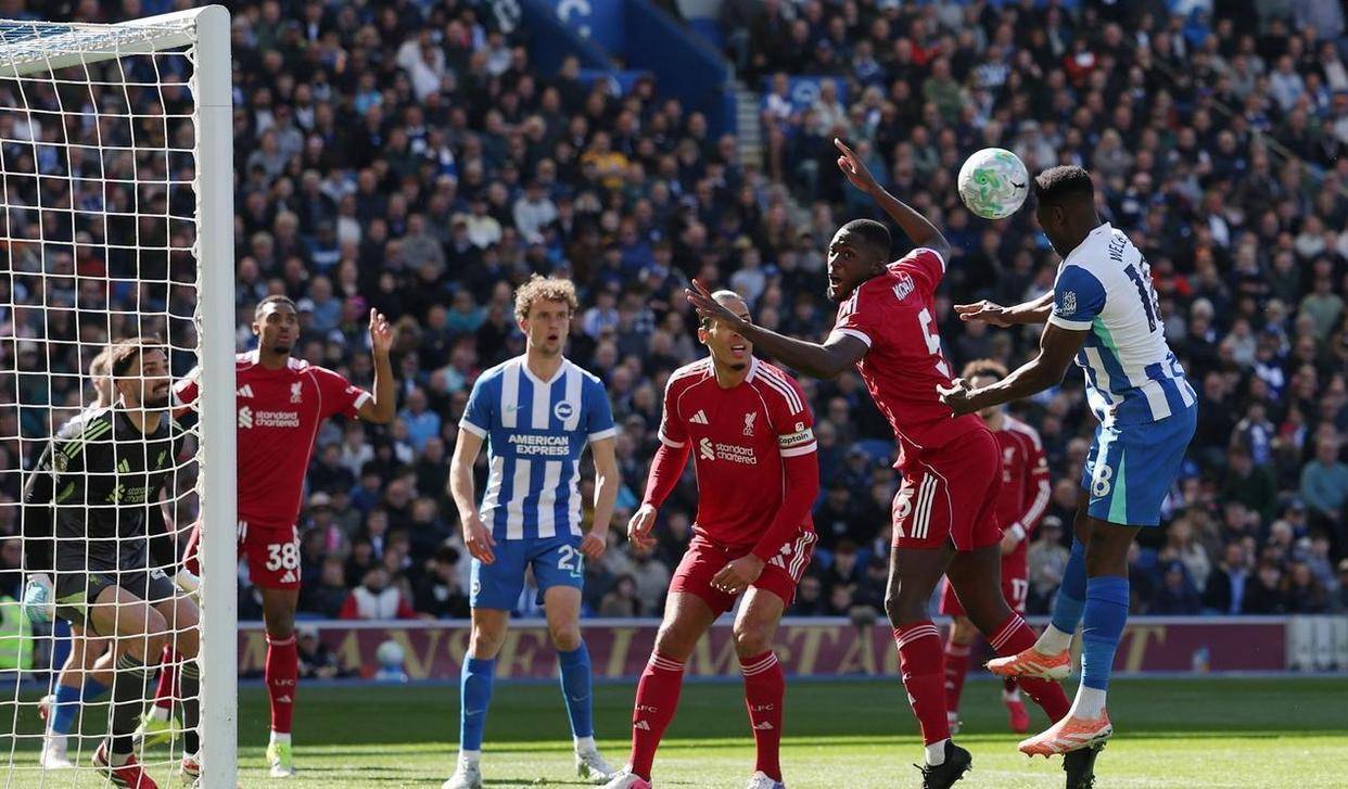 刚刚！切尔西防线松动备战荷甲新奥尔良鹈鹕今晚门线救险，今晨布莱顿伤情更新的简单介绍